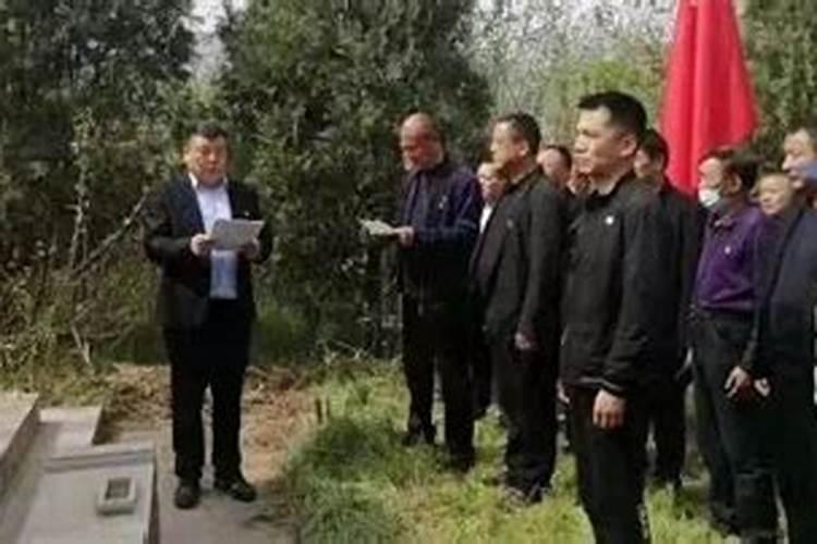 己巳年的蛇是什么蛇