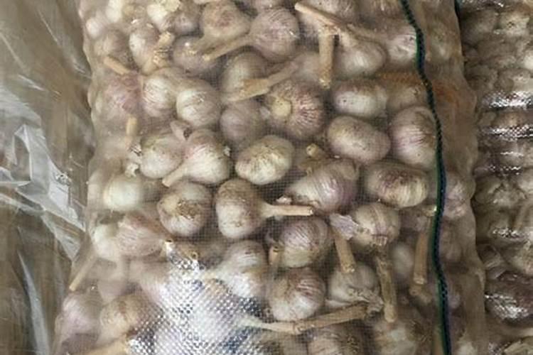 秋季从几月开始到几月结束？