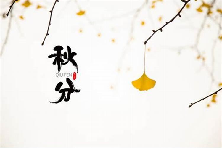 秋分前后的节气是什么 秋分前后的节气的特点