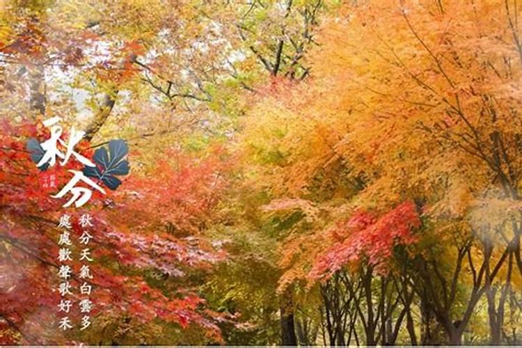秋分后面是什么节气 秋分后面是哪个节气