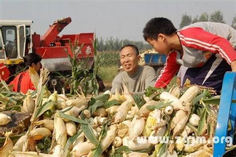 延安的传统节日和习俗有哪些？