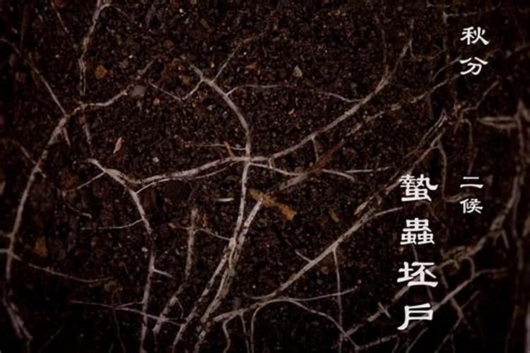 秋分节气有哪些物候特征和风俗