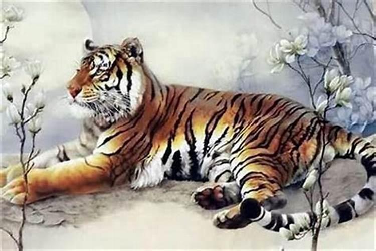 属虎什么时辰好