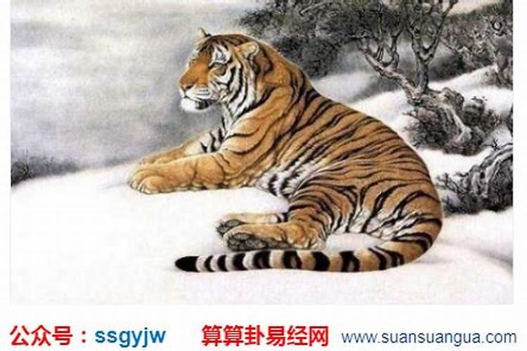 秋分易犯健康问题的生肖TOP4