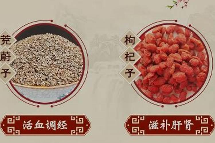 女人梦见黑色眼镜蛇有什么预兆