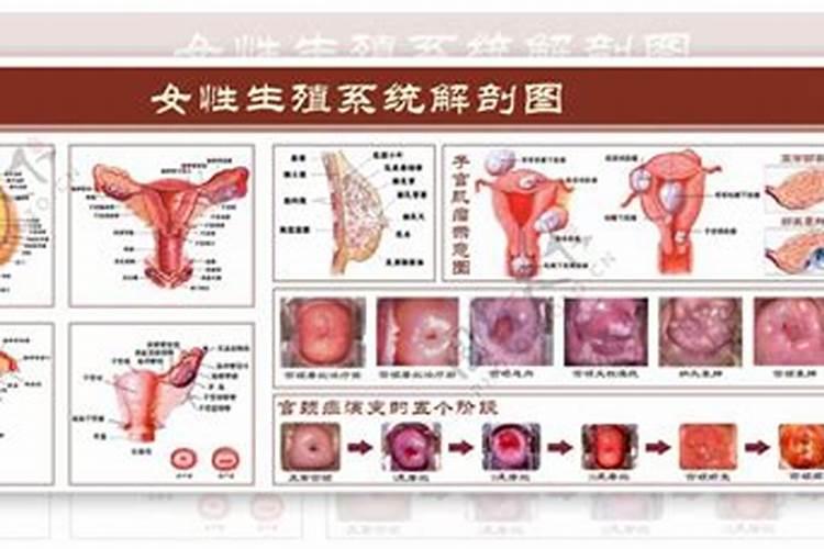 梦见看见陌生男人的身殖器的预兆
