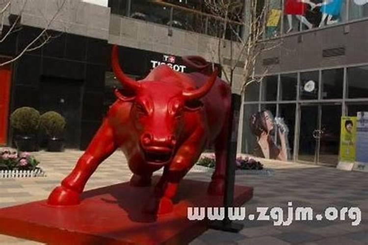 梦见大群红牛冲着我来的预兆