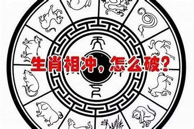 2025属狗每月运势运程 2025属狗人全年运势