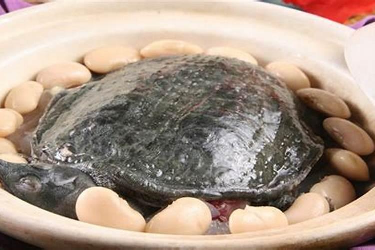 梦见旱水沟里好多好多甲鱼的预兆
