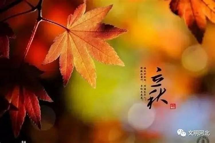 合婚算命:属兔男与属羊女的婚姻怎么样 两人相配吗