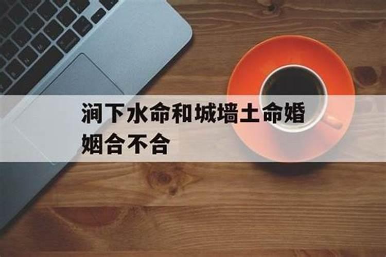 2024年需防小人警惕人际危机的属相