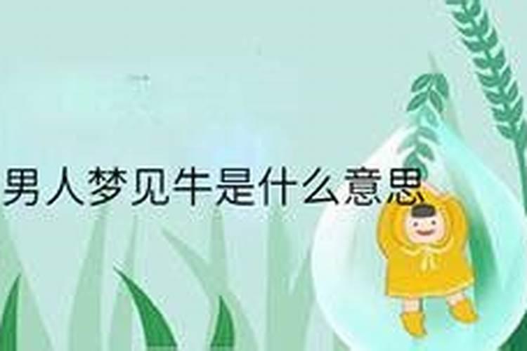 1986年属虎男在2025年每月运势及运程