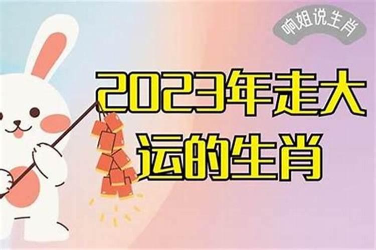 冲太岁什么意思