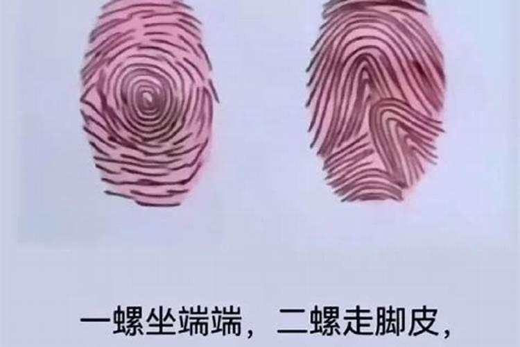 手上几个斗代表什么命