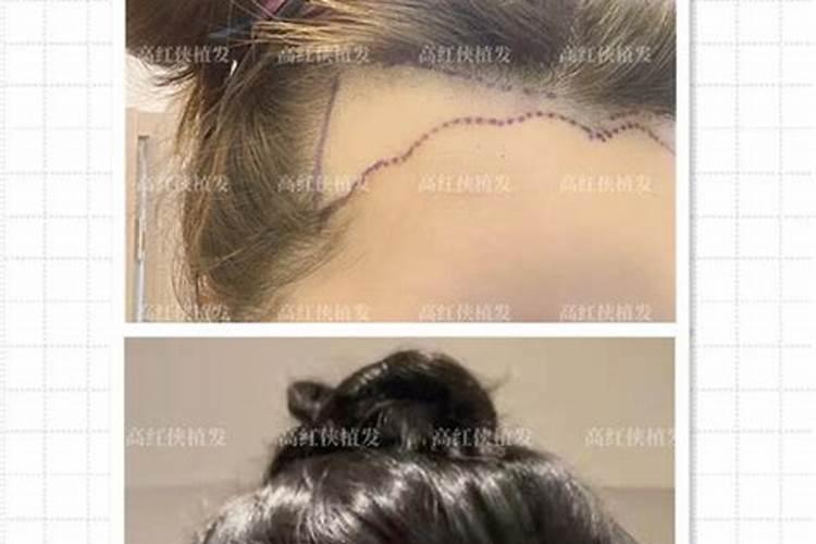 属牛12月出生的人命运,为何不要腊月牛？