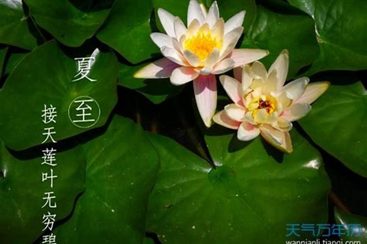 换完替身会变丑是真的吗