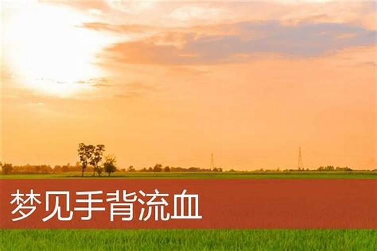 梦见手背出血的预兆
