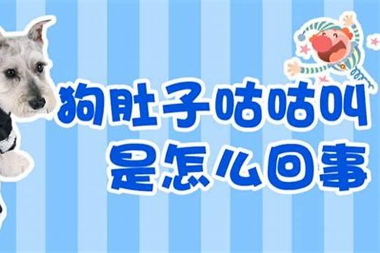 十二生肖犯太岁列表 十二生肖犯太岁排列顺序表