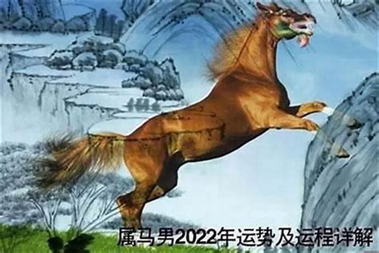 董易奇十二生肖2025运程
