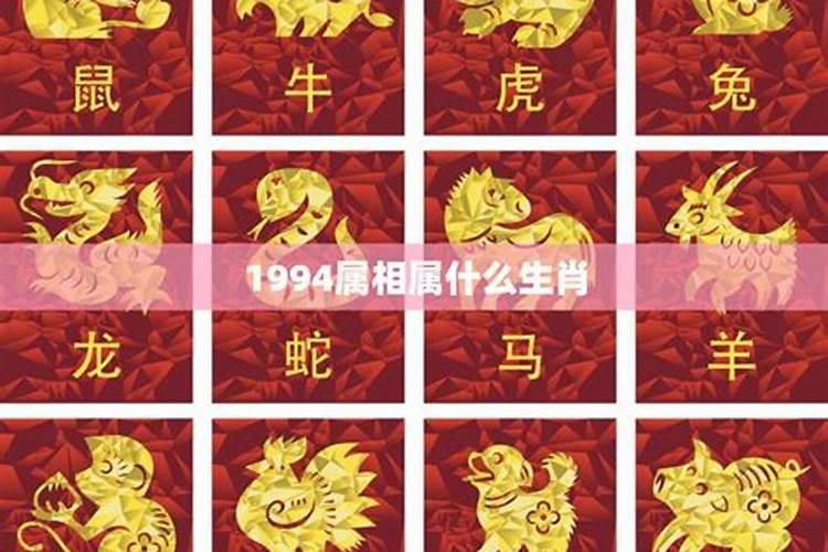 梦见在堂口前帮别人看事