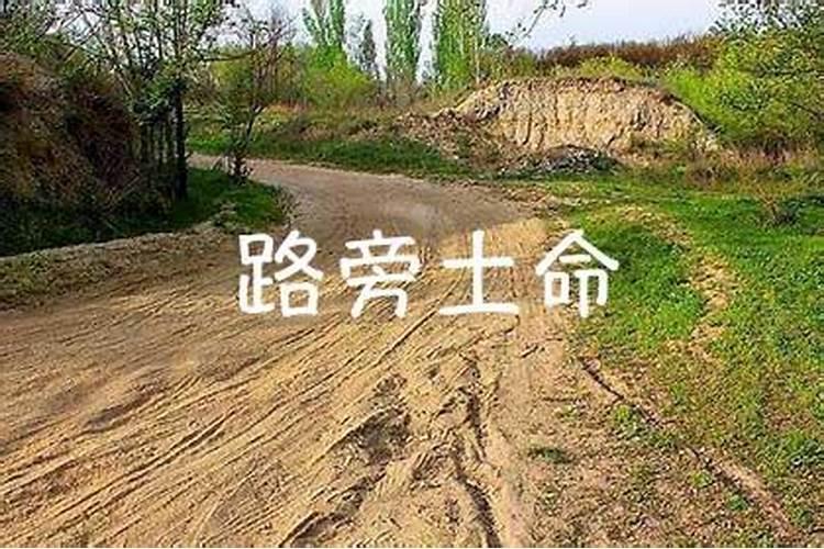 1991年腊月20出生的人是童子命吗