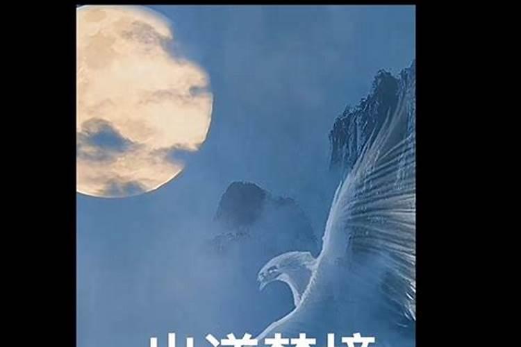 同年同月同日生的人 同年同月同日生的人性格相似吗？