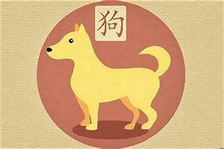 属狗的女人命不好