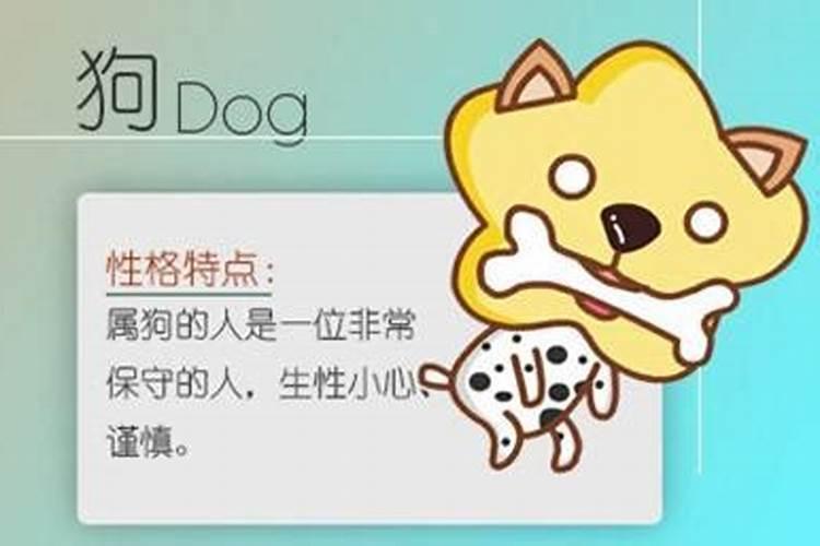 属猫的与属狗的八字和吗
