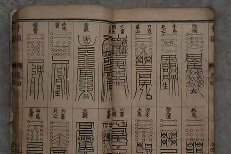 65年属什么生肖婚配表,1965年男属蛇是什么命