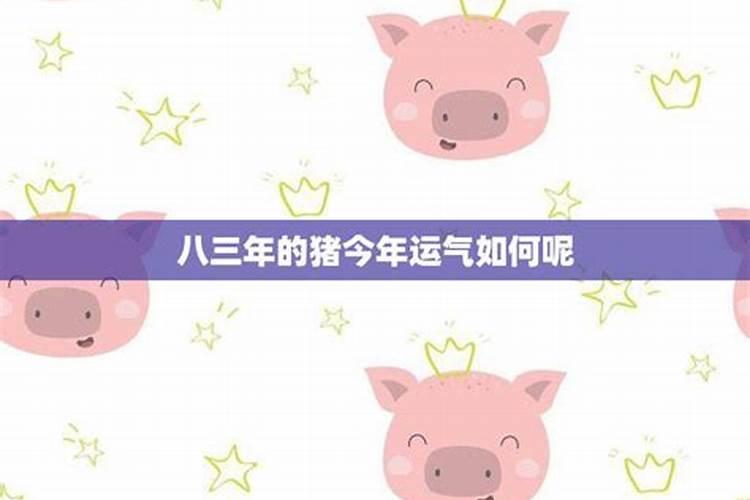83年属猪人2024年12月份运势 83年猪40岁后十年大运运程