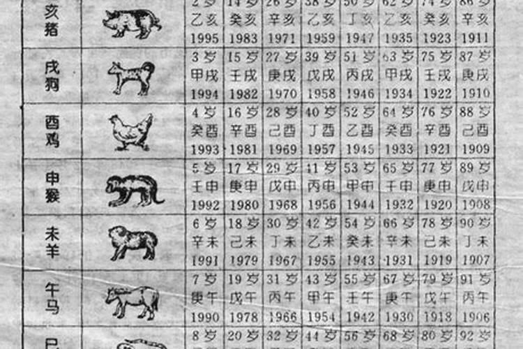婚配先看五行还是生肖 合婚是算属相还是八字？