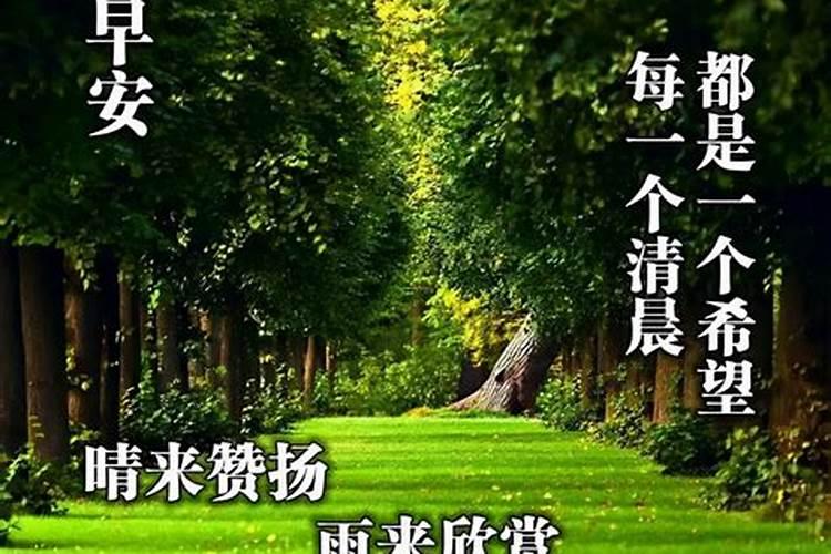 宝宝好名字带来好运气琦