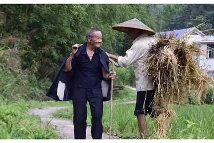 八字三丁命最毒是什么意思