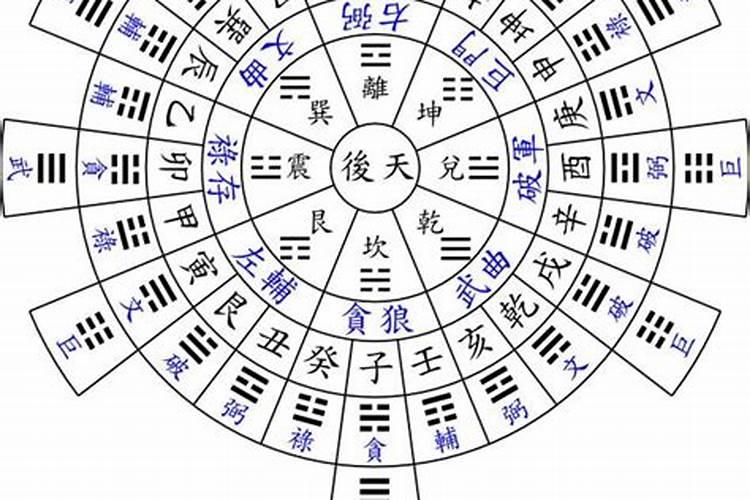 属兔男的软肋是什么(属兔的男人在感情上最大弱点是什么)
