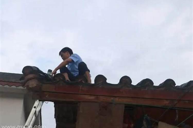 属蛇人后半生都走什么运 属蛇人后半生的运气怎么样