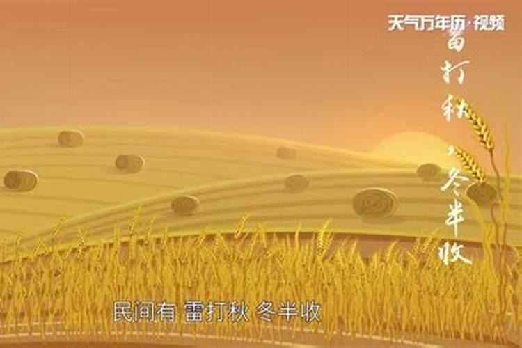 为什么有能力的人总是被小人算计？
