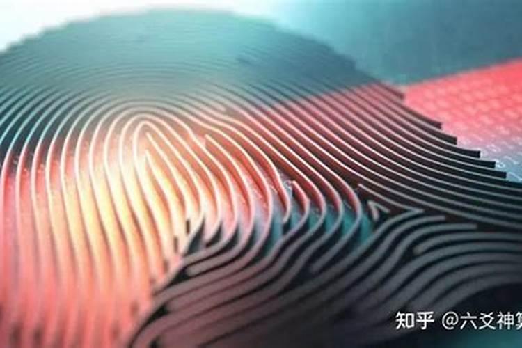 属马的遇到鼠年佩戴什么能化太岁