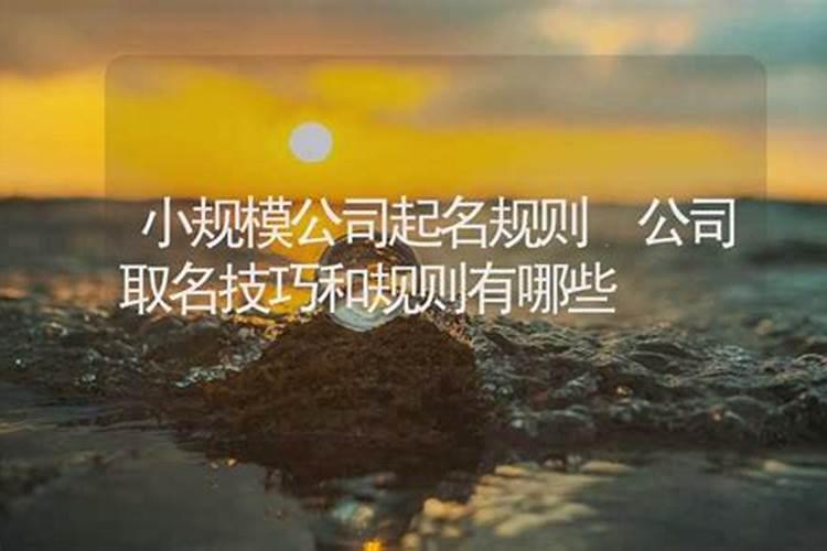 冬至的梦主要内容是什么冬至的梦主要内容介绍