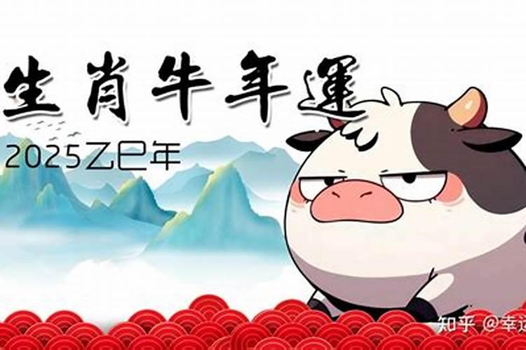 95年属猪的本命年能结婚吗