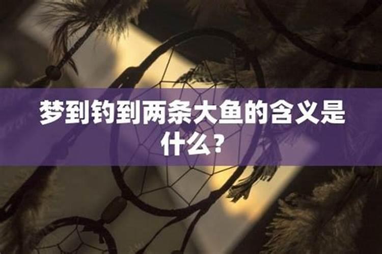 梦见钓只有头的鱼的预兆