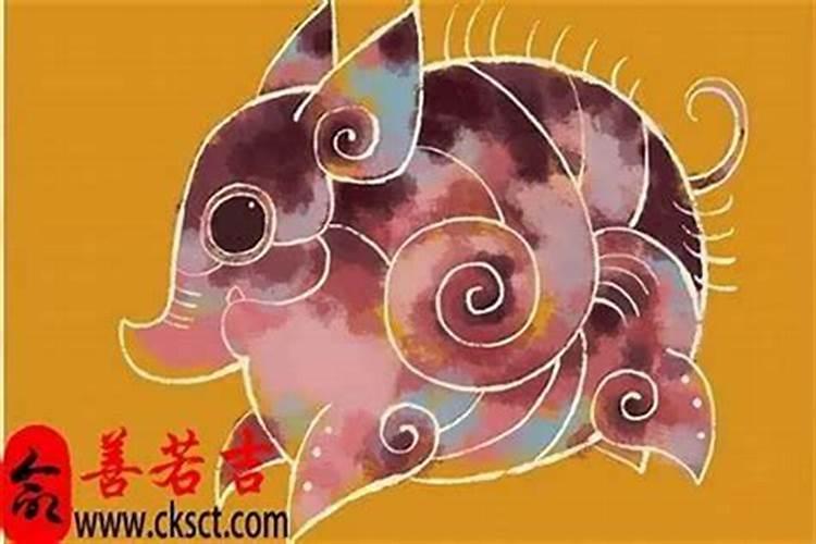我1995年出生的 属猪本命年是哪年