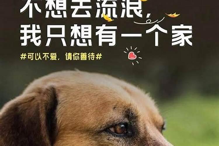 房子风水不好的十种预兆