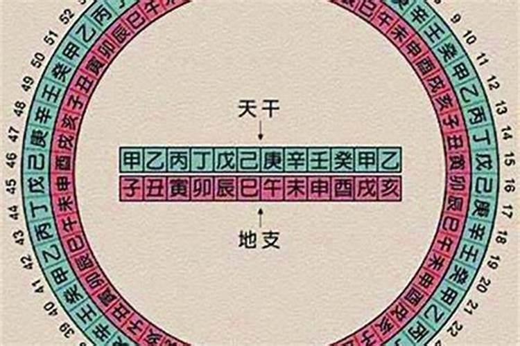 1982年正月出生的属狗人2023年,属狗九月生人命运如何