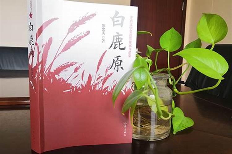 《白鹿原》(六)朱先生无法回避的课题——田小娥