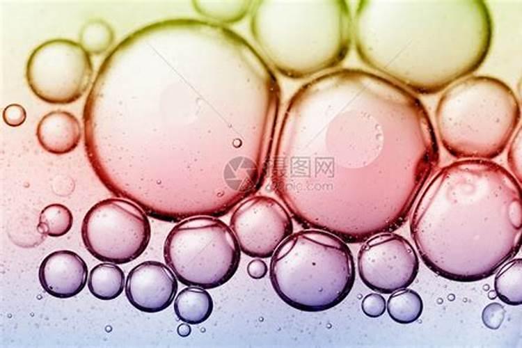 名画模仿秀后如何写作文