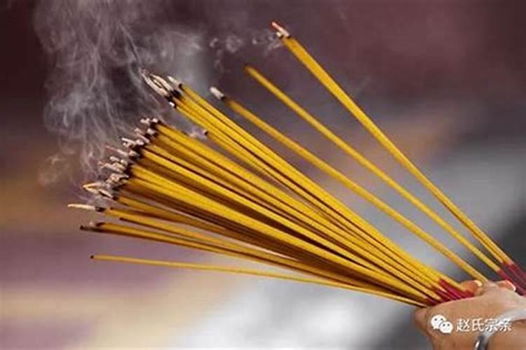 属狗的和属龙的相配吗求解答