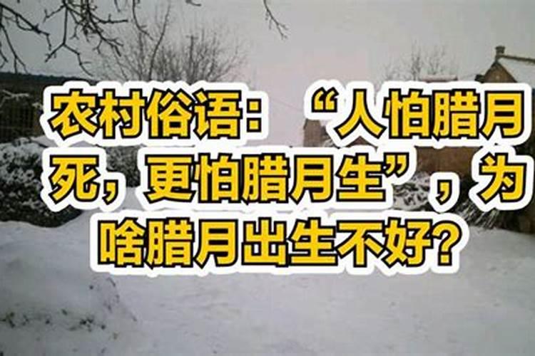 你的家乡元宵节如何度过,有什么好玩的习俗或传说？回答的时候麻烦写出...