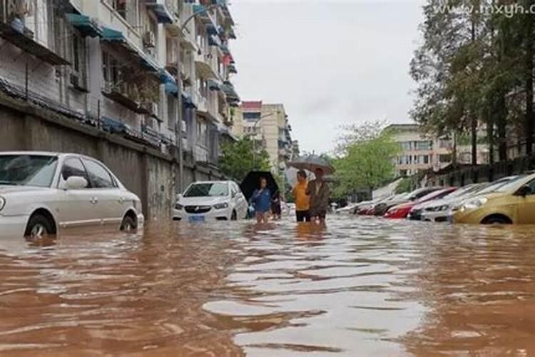 梦见舅舅家满大水