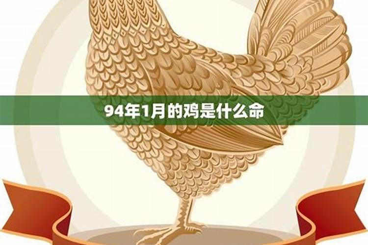 82年的狗2025年运势
