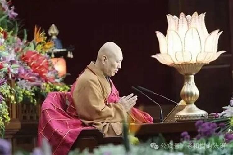 腊月适合种什么树